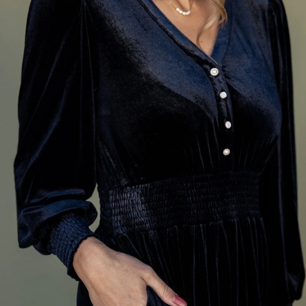 Roolee Silver Linings Velvet Dress - Picture 3 of 5
